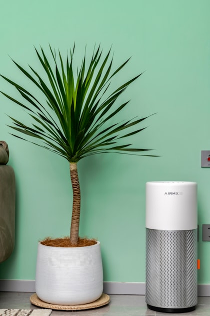 Top Features to Look For